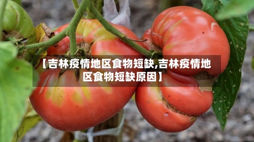 【吉林疫情地区食物短缺,吉林疫情地区食物短缺原因】-第3张图片