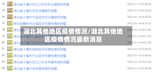 湖北其他地区疫情情况/湖北其他地区疫情情况最新消息-第2张图片