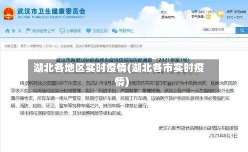 湖北各地区实时疫情(湖北各市实时疫情)