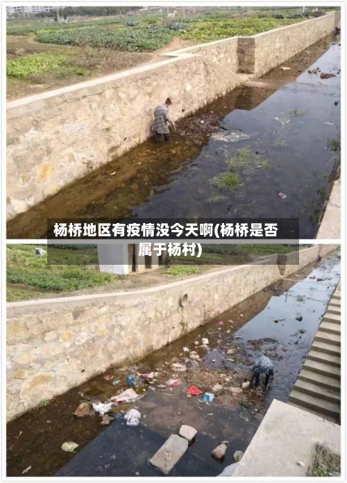 杨桥地区有疫情没今天啊(杨桥是否属于杨村)