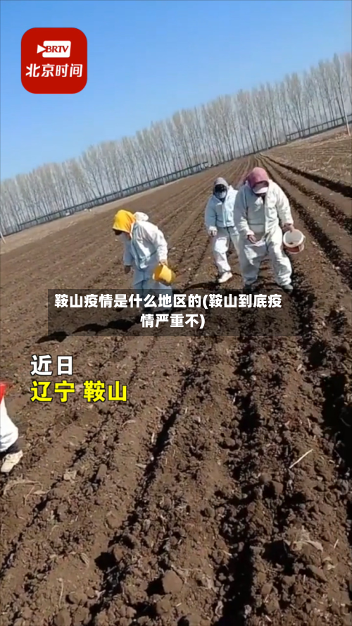 鞍山疫情是什么地区的(鞍山到底疫情严重不)-第3张图片