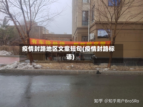 疫情封路地区文案短句(疫情封路标语)-第2张图片