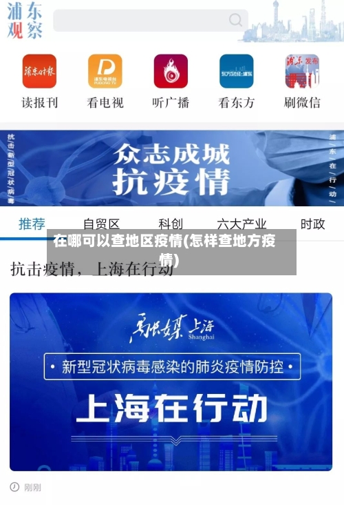 在哪可以查地区疫情(怎样查地方疫情)-第2张图片