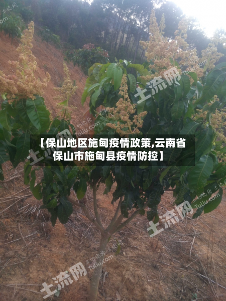 【保山地区施甸疫情政策,云南省保山市施甸县疫情防控】-第2张图片