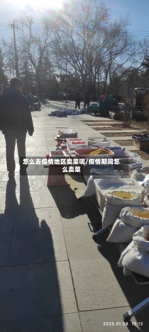 怎么去疫情地区卖菜呢/疫情期间怎么卖菜-第3张图片