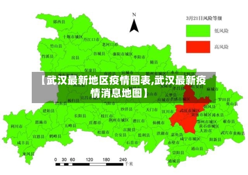 【武汉最新地区疫情图表,武汉最新疫情消息地图】-第3张图片