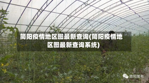 简阳疫情地区图最新查询(简阳疫情地区图最新查询系统)-第3张图片