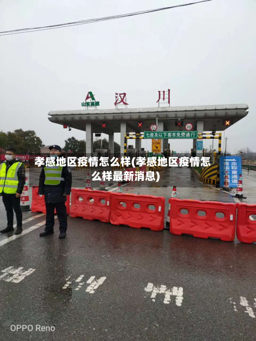 孝感地区疫情怎么样(孝感地区疫情怎么样最新消息)-第3张图片