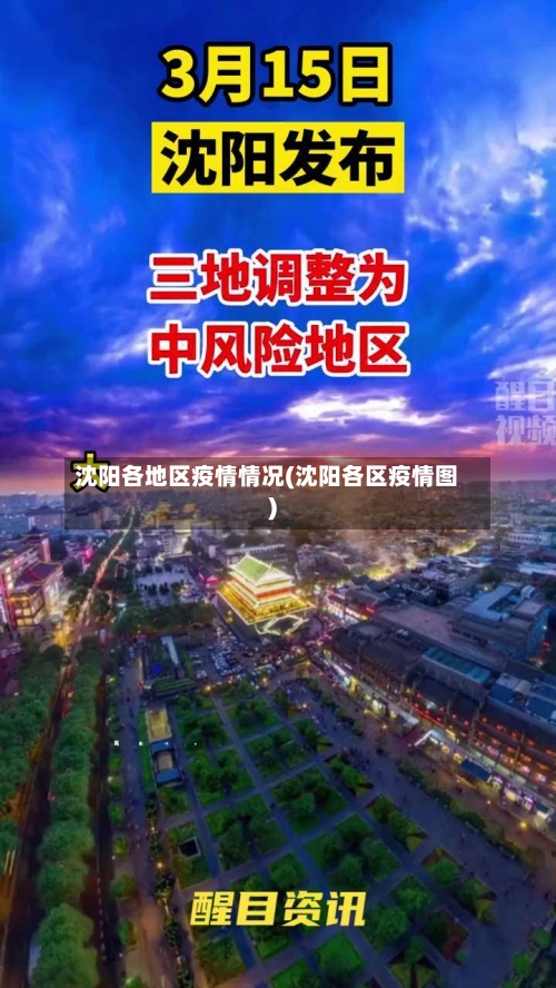沈阳各地区疫情情况(沈阳各区疫情图)-第2张图片