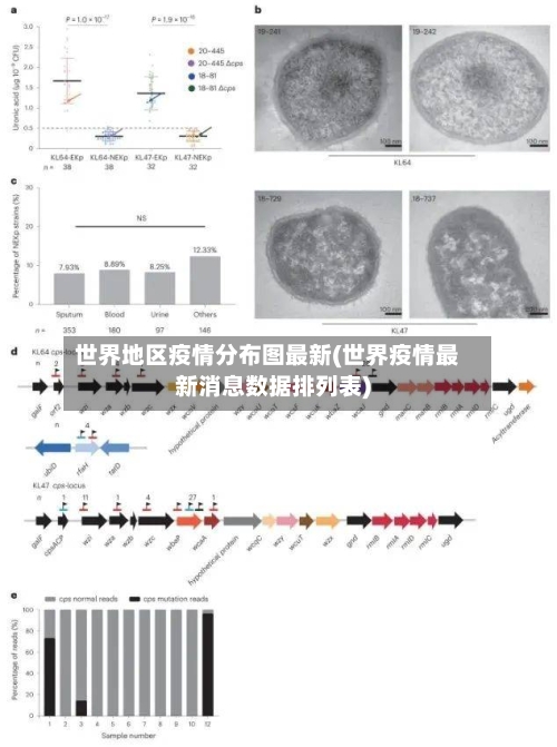 世界地区疫情分布图最新(世界疫情最新消息数据排列表)-第2张图片