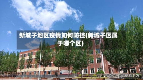 新城子地区疫情如何防控(新城子区属于哪个区)