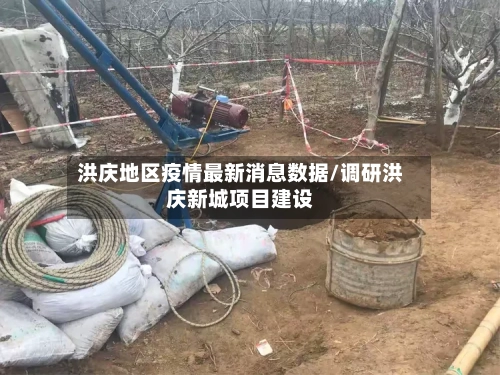 洪庆地区疫情最新消息数据/调研洪庆新城项目建设