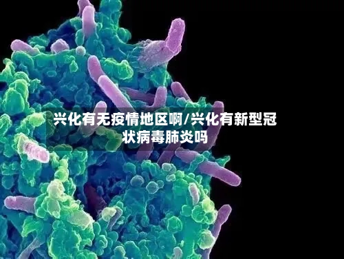 兴化有无疫情地区啊/兴化有新型冠状病毒肺炎吗-第2张图片