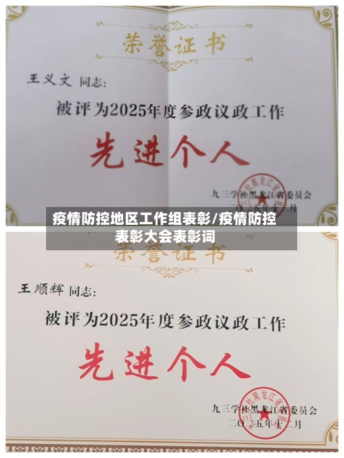 疫情防控地区工作组表彰/疫情防控表彰大会表彰词