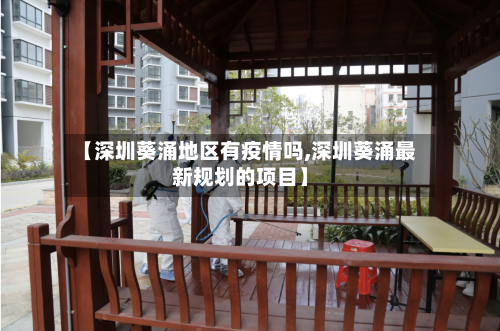 【深圳葵涌地区有疫情吗,深圳葵涌最新规划的项目】-第2张图片