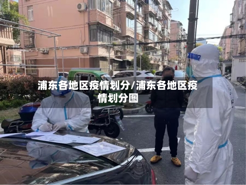 浦东各地区疫情划分/浦东各地区疫情划分图