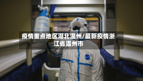 疫情重点地区湖北温州/最新疫情浙江省温州市-第2张图片