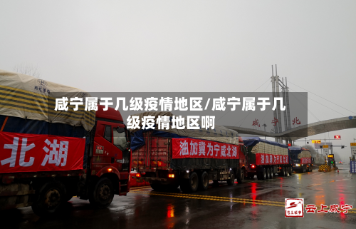 咸宁属于几级疫情地区/咸宁属于几级疫情地区啊-第2张图片