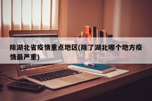 除湖北省疫情重点地区(除了湖北哪个地方疫情最严重)