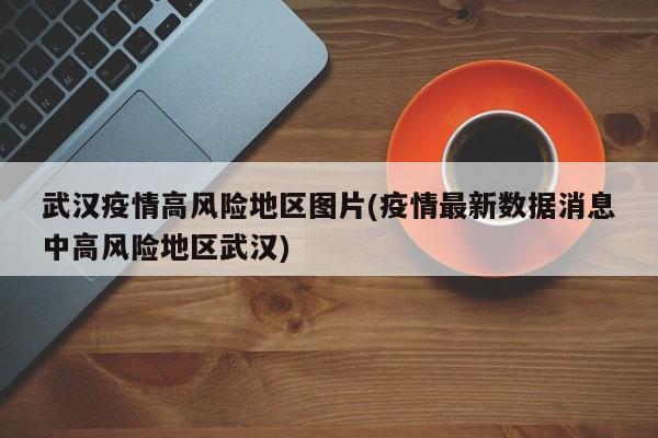 武汉疫情高风险地区图片(疫情最新数据消息中高风险地区武汉)