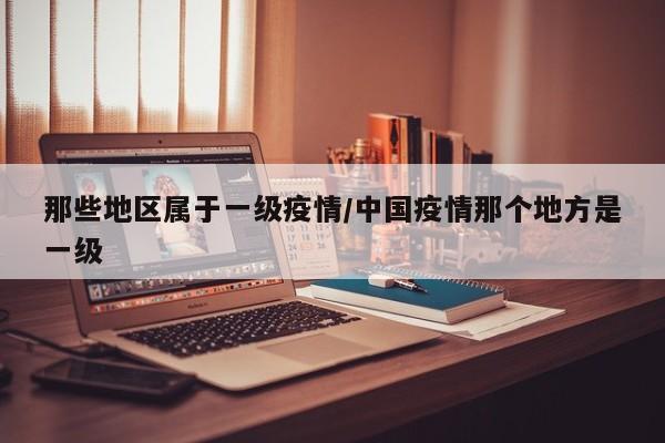 那些地区属于一级疫情/中国疫情那个地方是一级